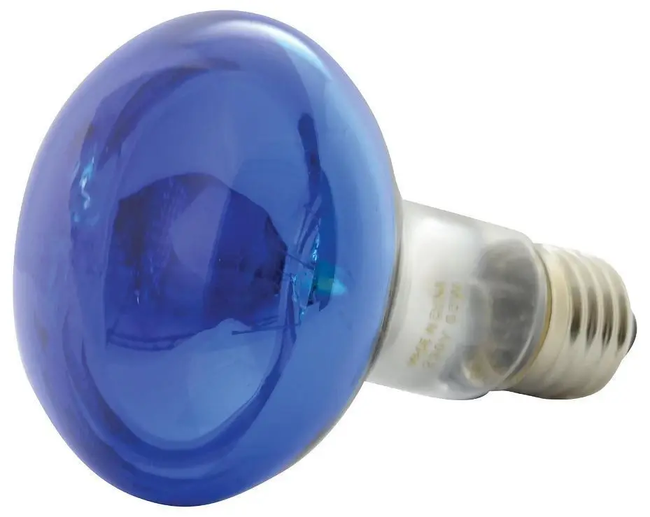 R80 240v 60w E27/ES Blue 80mm Reflector. 