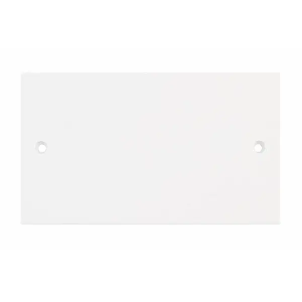 Selectric Square Edged 2 Gang Blanking Plate
